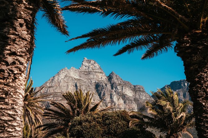 Cape Point Penguin Tour - What the private format really gives you