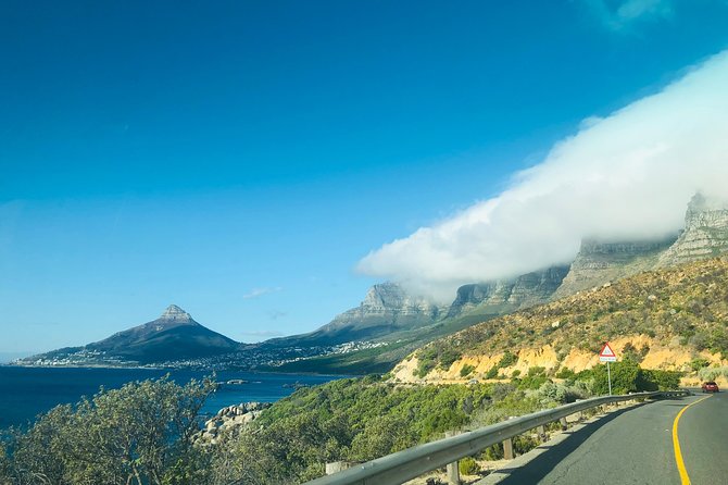Cape Point Penguin Tour - Hout Bay adds a harbor and an optional seal trip