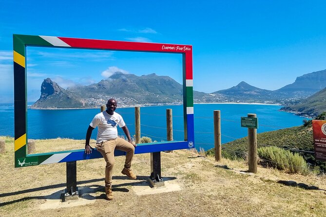 Cape Point, Penguins & Wine Tasting In Constantia Full Day Tour - Hout Bay, seals, and Chapman’s Peak