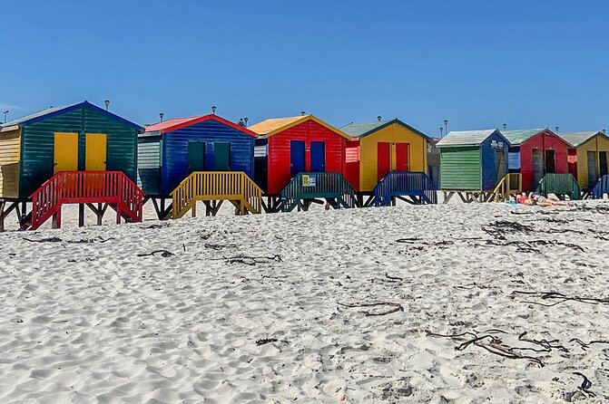 Cape Point, Penguins & Wine Tasting In Constantia Full Day Tour - Simon’s Town and the Boulders penguins