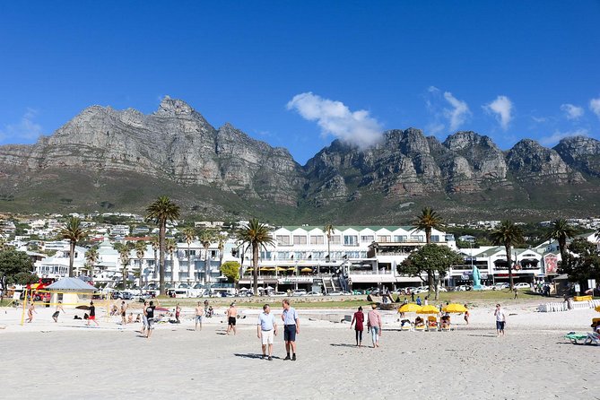 Cape Point Peninsula Tour (Cape To Grape Wine Tours) - Boulders Beach gives you the day’s clearest wildlife moment