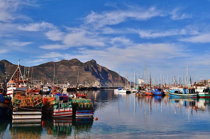 Cape Point Peninsula Tour (Cape To Grape Wine Tours) - Chapman’s Peak Drive is built for photos