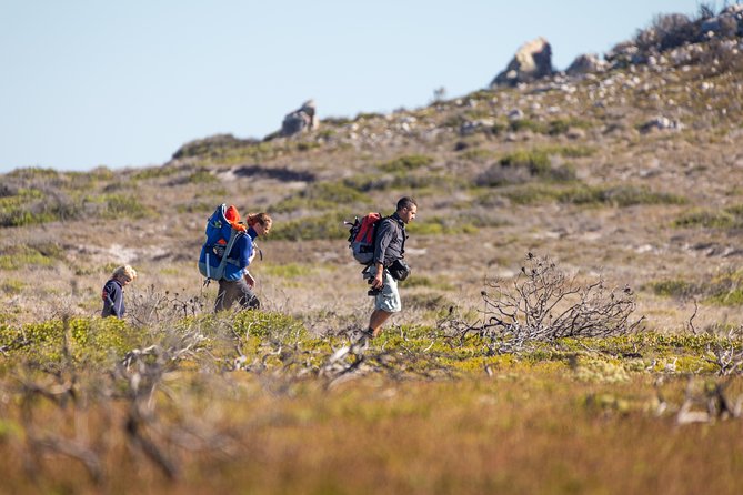 Cape Point Private Nature Tour & Hike - Cape Point, lighthouses, and the choice of a longer walk