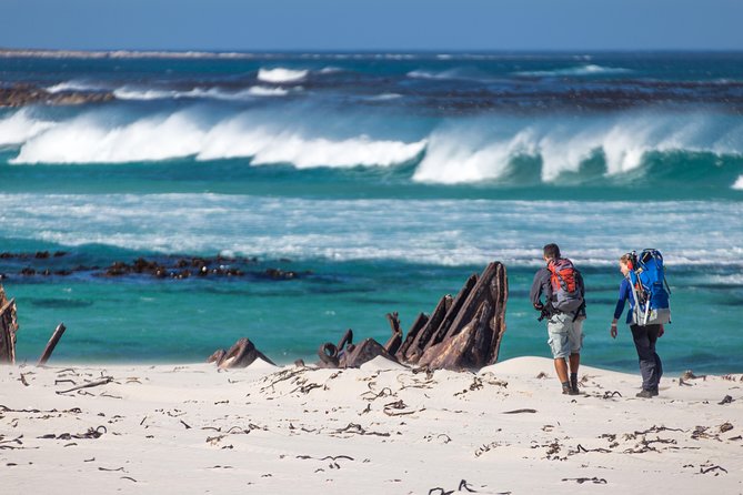 Cape Point Private Nature Tour & Hike - The 2.5-hour fynbos hike at the Cape of Good Hope