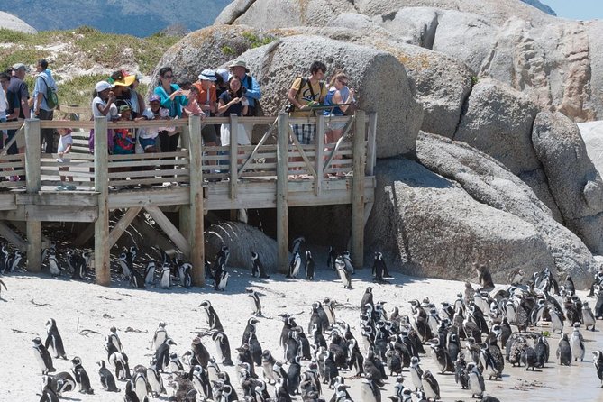 Cape Point Sightseeing Tour including Cape of Good Hope full day from Cape Town - Why this Cape Peninsula day works