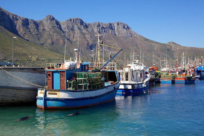 Cape Point Sightseeing Tour including Cape of Good Hope full day from Cape Town - Hout Bay and the optional seal boat