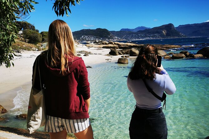 Cape Point Xplorer - One hour with the penguins at Boulders Beach