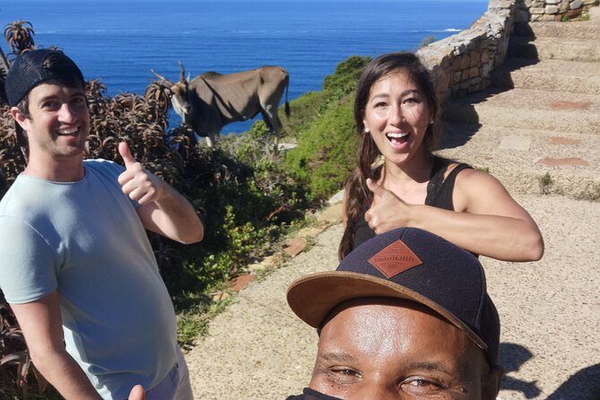 Cape Point Xplorer - The guide can shape the whole day