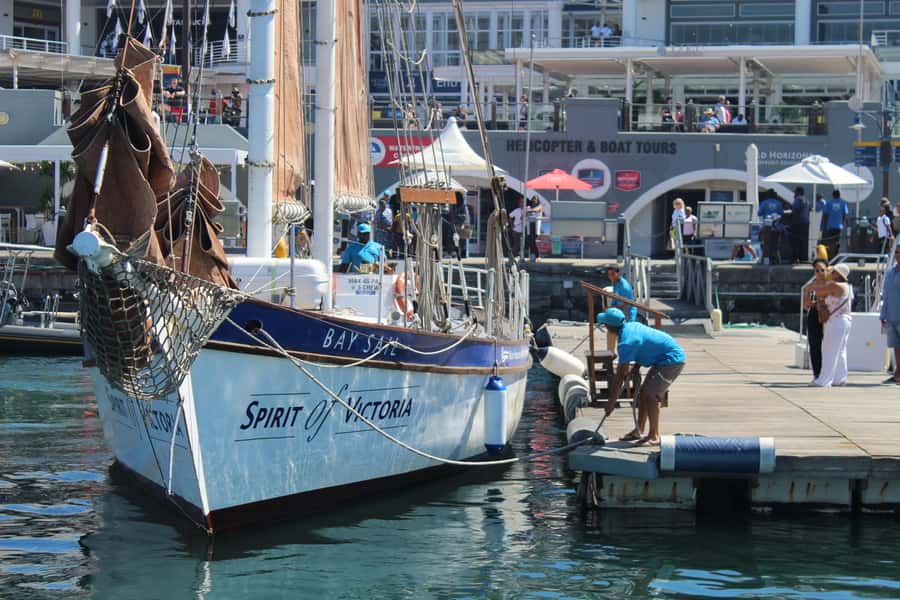 Cape Town: 1 Hour Table Bay Sailing Tour - Key points to know before you sail