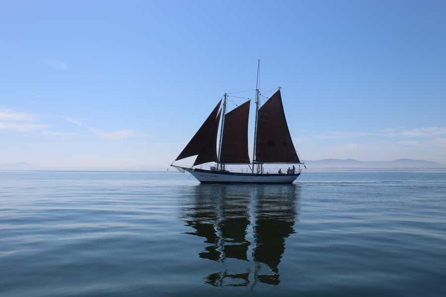 Cape Town: 1 Hour Table Bay Sailing Tour - Leaving the V&A Waterfront on Spirit of Victoria