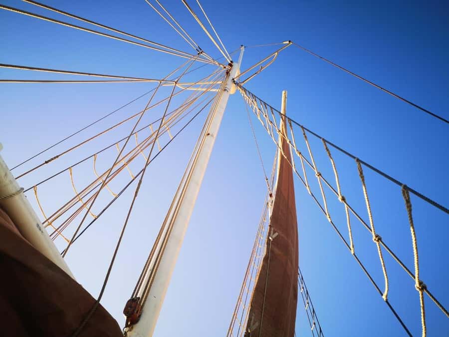 Cape Town: 1 Hour Table Bay Sailing Tour - Wildlife is a bonus, not the purpose