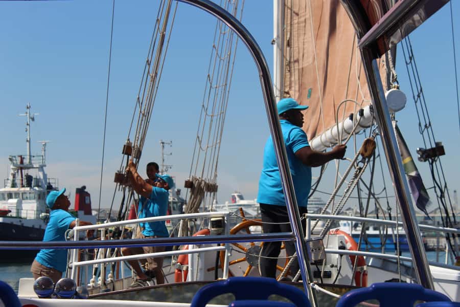 Cape Town: 1 Hour Table Bay Sailing Tour - How the $21 price compares with the experience