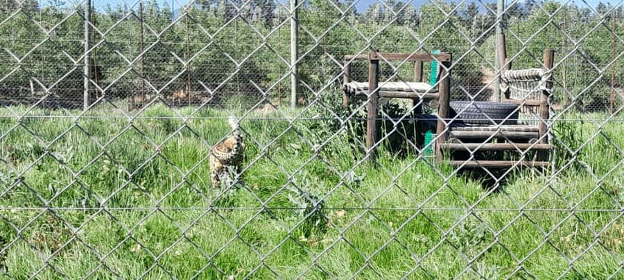 Cape Town: 15 Wine Tasting & Wildlife Small Group Tour - Groot Drakenstein and the road through the vineyards