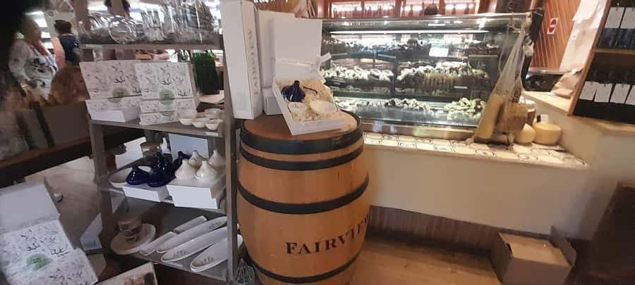 Cape Town: 15 Wine Tasting & Wildlife Small Group Tour - Comfort, access, and what to bring