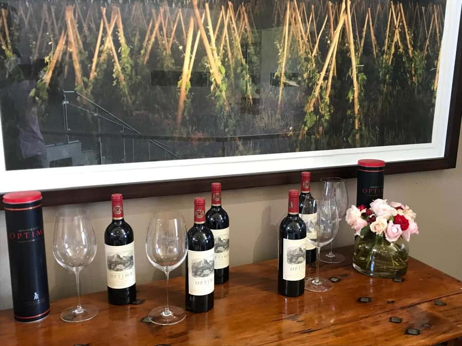 Cape Town: 15 Wine Tasting & Wildlife Small Group Tour - Should you book the Cape Winelands and wildlife tour?
