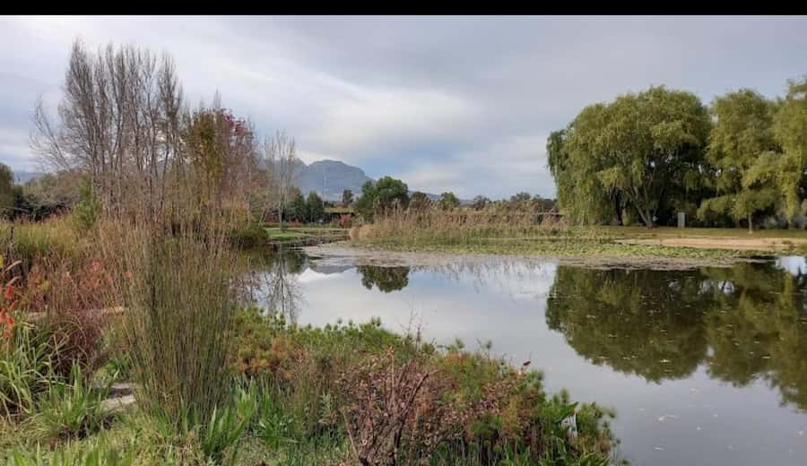 Cape Town: 15 Wine Tasting & Wildlife Small Group Tour - J.C. Le Roux and the lighter side of South African wine