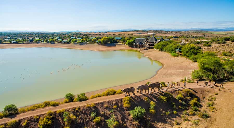Cape Town: 2-Day Wildlife Tour with Safaris and Luxury Stay - Key points before you book