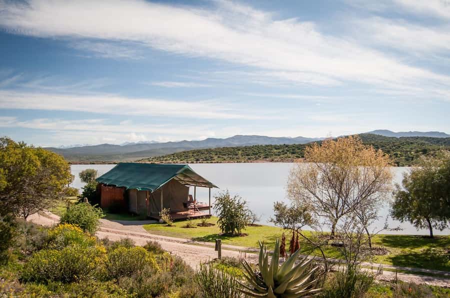 Cape Town: 2-Day Wildlife Tour with Safaris and Luxury Stay - Who should book this two-day safari?