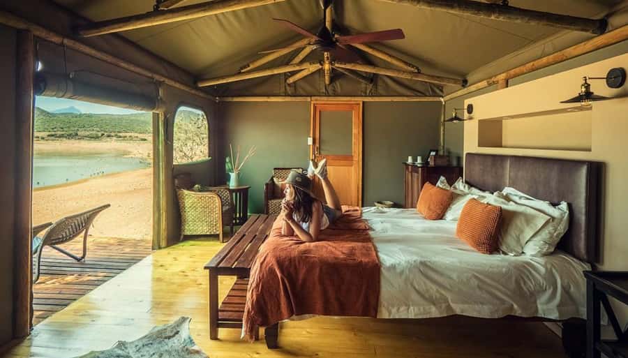 Cape Town: 2-Day Wildlife Tour with Safaris and Luxury Stay - A fast route from Table Mountain to the Klein Karoo