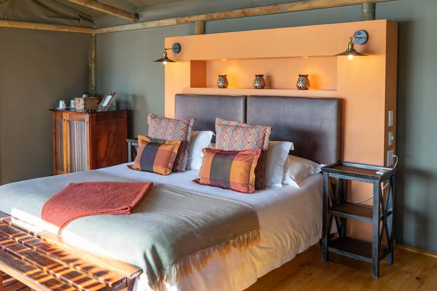 Cape Town: 2-Day Wildlife Tour with Safaris and Luxury Stay - Is $534 good value?