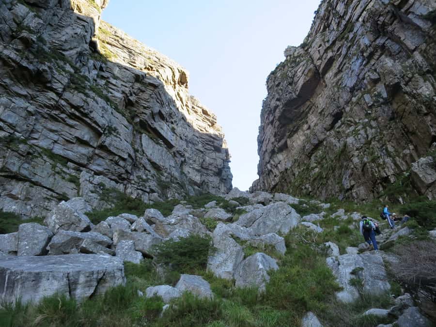 Cape Town: 3-Hour Table Mountain Hike via Platteklip Gorge - Key points to know before you climb