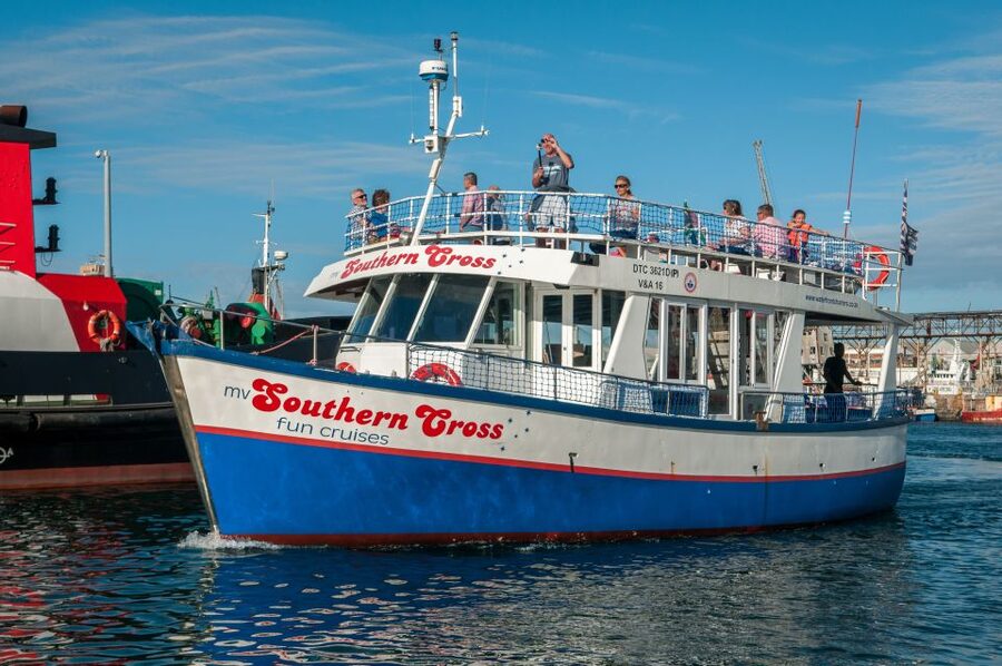 Cape Town: 30 Minute Harbour Boat Cruise with Seal Watching - Key points to know before you book