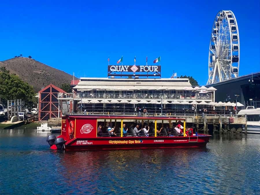Cape Town: 30 Minute Seal-Watching Harbour Cruise - Starting beside the Two Oceans Aquarium