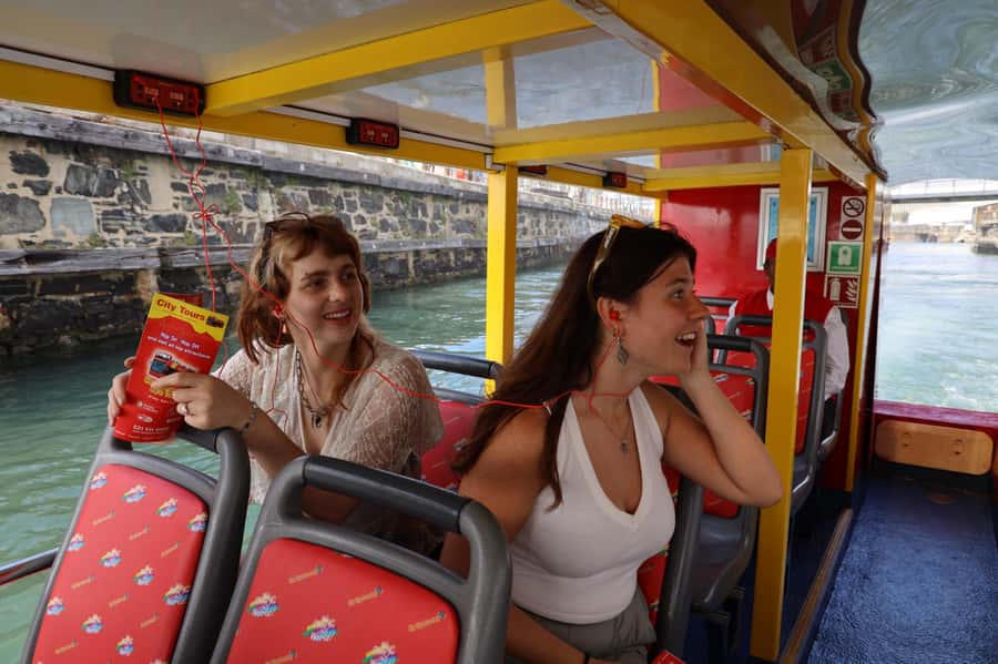 Cape Town: 30 Minute Seal-Watching Harbour Cruise - Table Mountain and the city from the bay