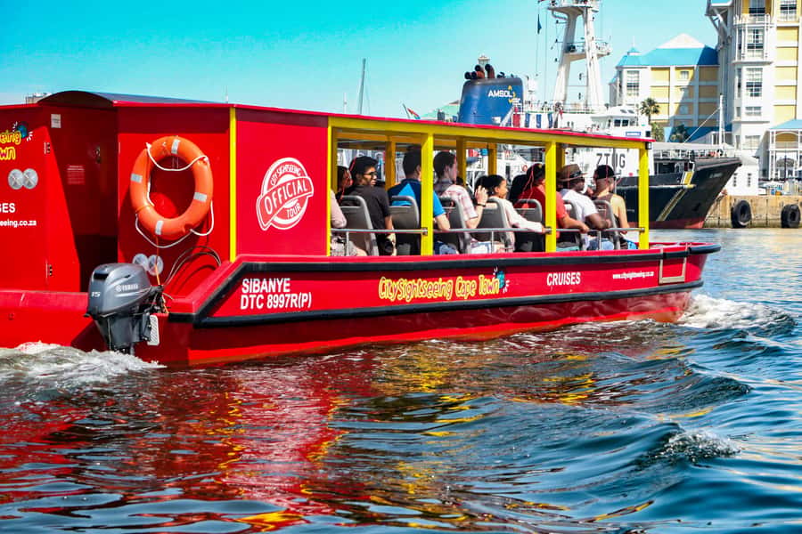 Cape Town: 30 Minute Seal-Watching Harbour Cruise - Who will enjoy this boat trip?