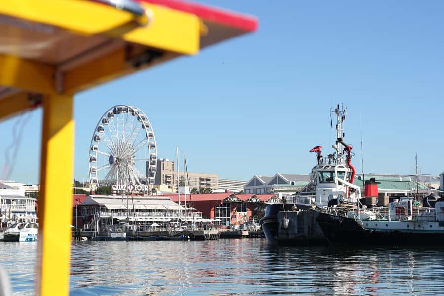 Cape Town: 30 Minute Seal-Watching Harbour Cruise - Booking flexibility and practical details