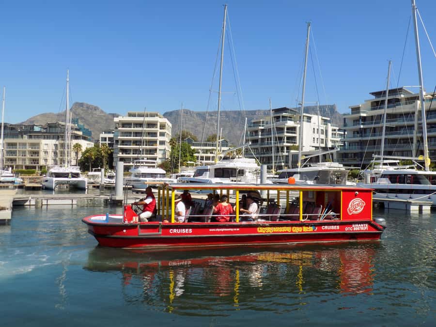 Cape Town: 30 Minute Seal-Watching Harbour Cruise - Finding the Cape fur seals