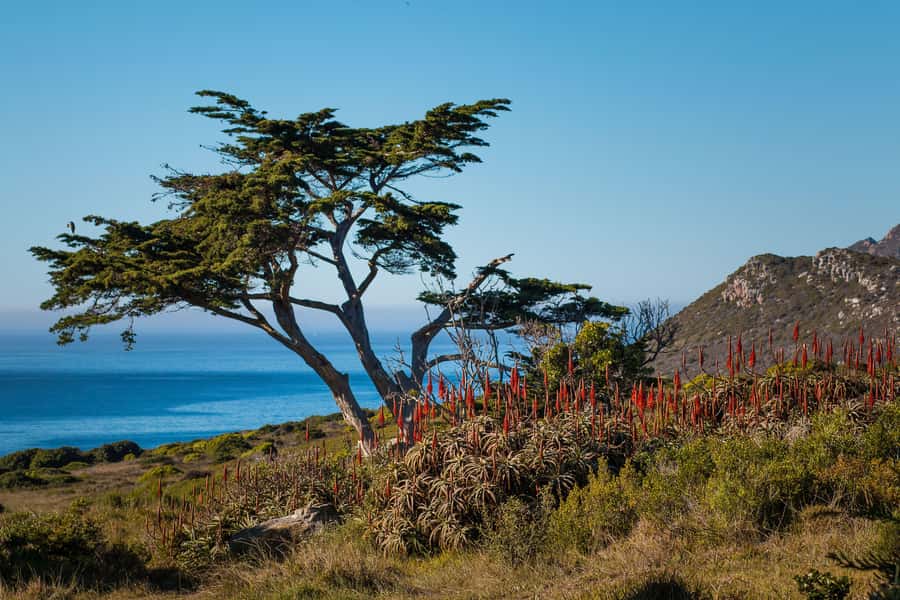 Cape Town: 9-hour Cape Point Private Guided Cycling Tour - Fitness, clothing, and the shape of the day