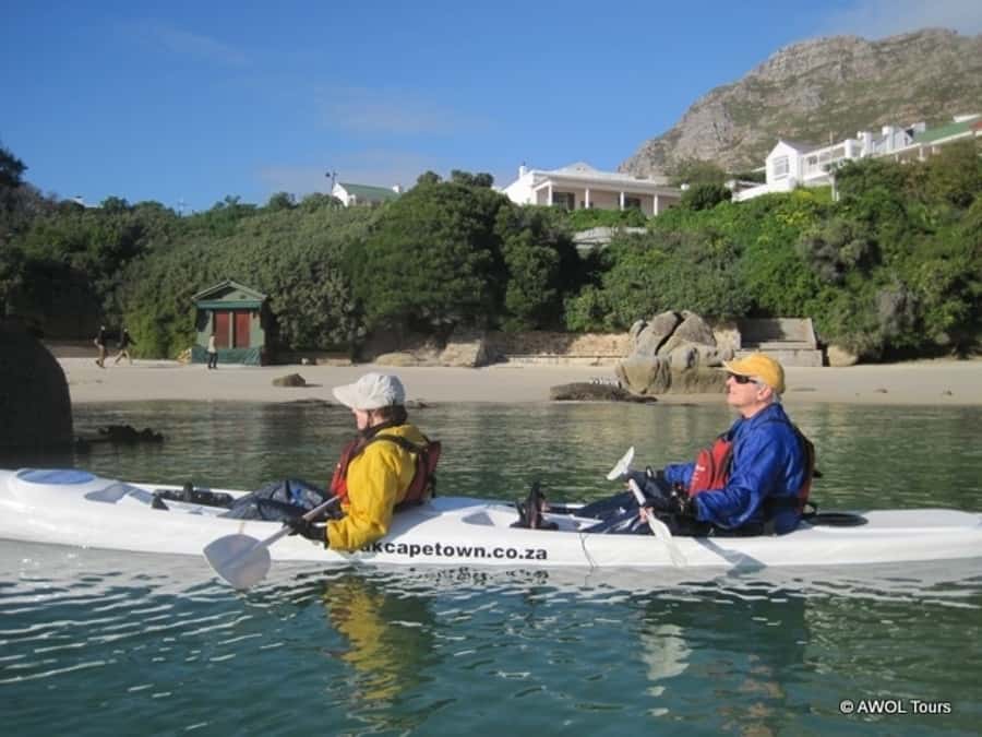 Cape Town: 9-hour Cape Point Private Guided Cycling Tour - Who will get the most from this tour