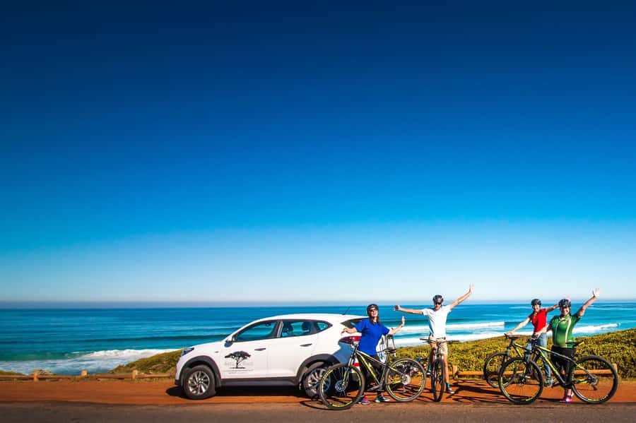 Cape Town: 9-hour Cape Point Private Guided Cycling Tour - Should you book the Cape Point cycling tour?