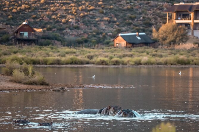 Cape Town Aquila Afternoon Safari with transport and lunch - Hotel pickup and the road to the reserve