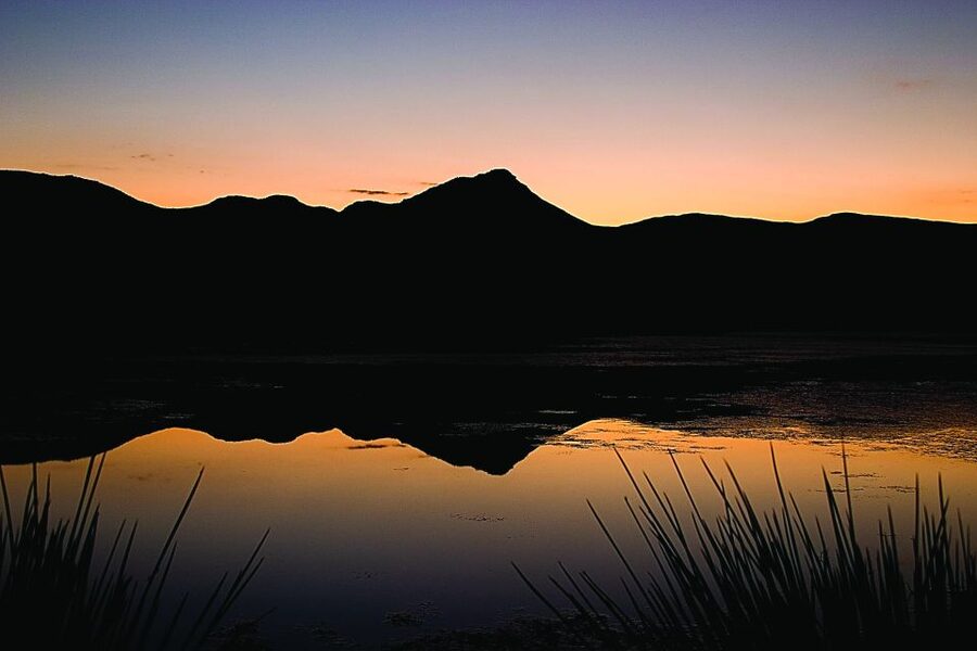 Cape Town: Aquila Game Reserve Day Entrance & Game Drive - Key points to know before you book