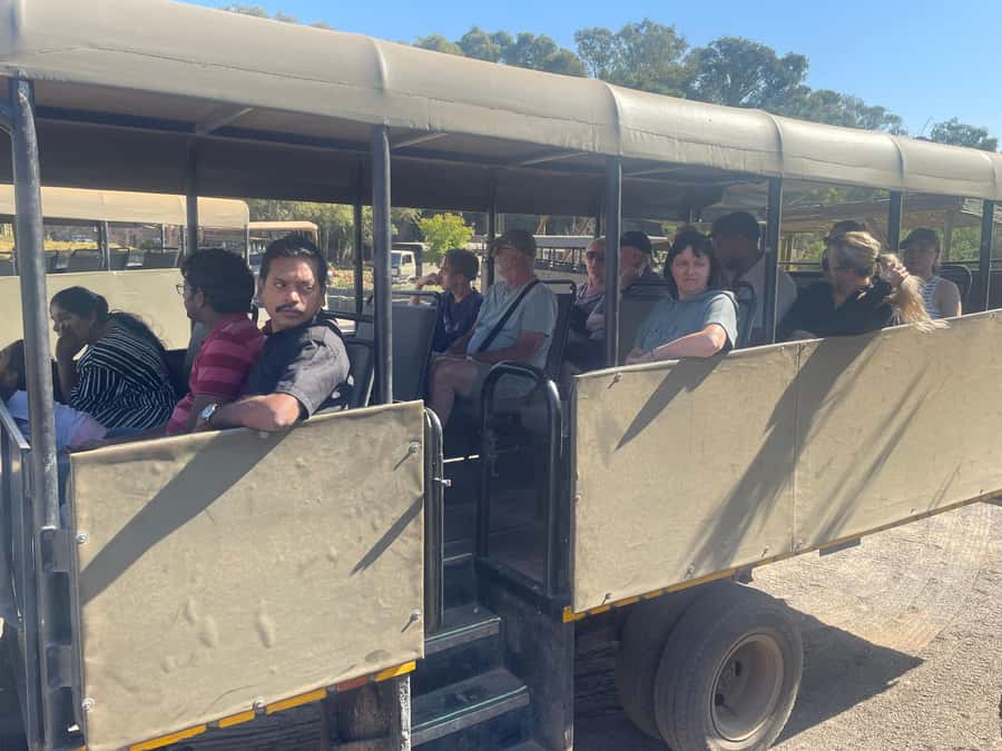 Cape Town: Aquila Game Reserve SAFARI +Lunch Buffet +Pickup - Should you book the Aquila day trip?