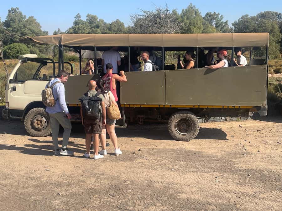 Cape Town: Aquila Game Reserve SAFARI +Lunch Buffet +Pickup - From Cape Town to Aquila Game Reserve