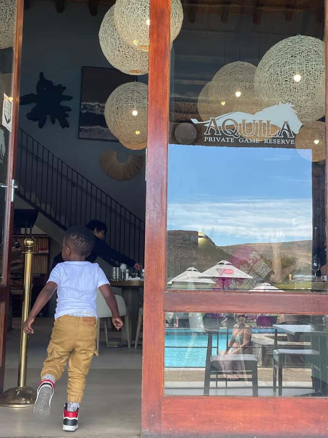 Cape Town: Aquila Game Reserve SAFARI +Lunch Buffet +Pickup - Sunset light and the return drive
