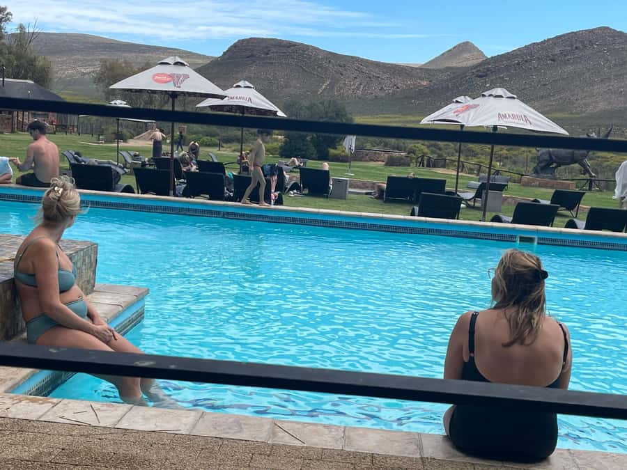 Cape Town: Aquila Game Reserve SAFARI +Lunch Buffet +Pickup - Practical details that affect your day