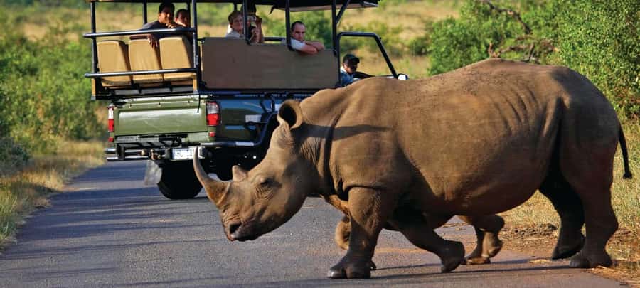 Cape Town: Aquila Game Reserve SAFARI +Lunch Buffet +Pickup - Arrival, welcome drinks, and time before lunch