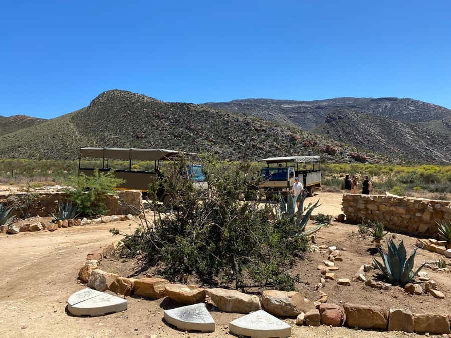 Cape Town: Aquila Game Reserve & V&A Waterfront Tour w/Lunch - Practical details that matter
