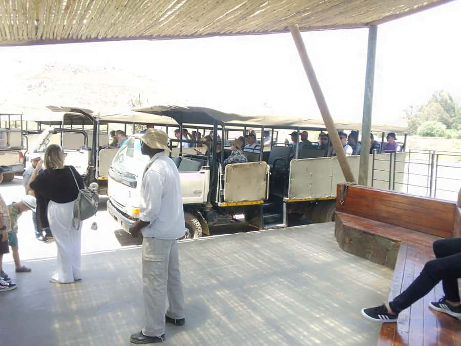 Cape Town: Aquila Reserve Safari with Lunch and Winery Visit - What the $123 price really covers