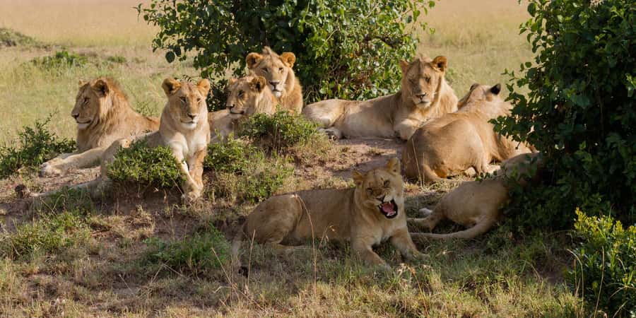 Cape Town: Aquila Reserve Safari with Lunch and Winery Visit - Leaving Cape Town for the reserve