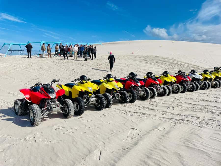 Cape Town: Atlantis Dunes Quad Bike & Free Sandboarding Tour - The real cost: $49 plus R330 in permits