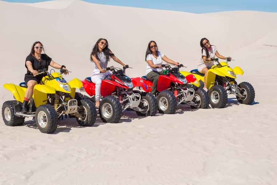 Cape Town: Atlantis Dunes Quad Bike & Free Sandboarding Tour - Who should book this outing