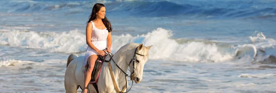 Cape Town: Beach Horse Ride with Hotel Pickup & Drop-off - Key points to know before booking