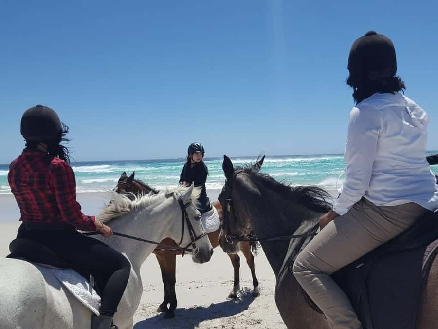 Cape Town: Beach Horse Ride with Hotel Pickup & Drop-off - Reaching Noordhoek Beach from your hotel