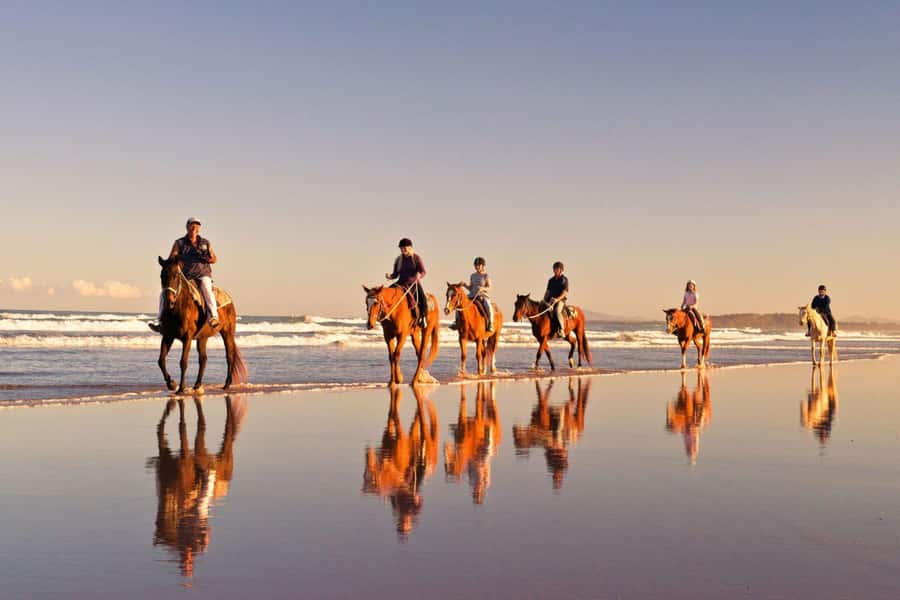 Cape Town: Beach Horse Ride with Hotel Pickup & Drop-off - One hour on the white sand
