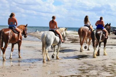 Beach Horse Ride with Hotel Pickup & Drop-off